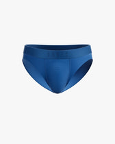 
                  BLUE (BRIEF)
                